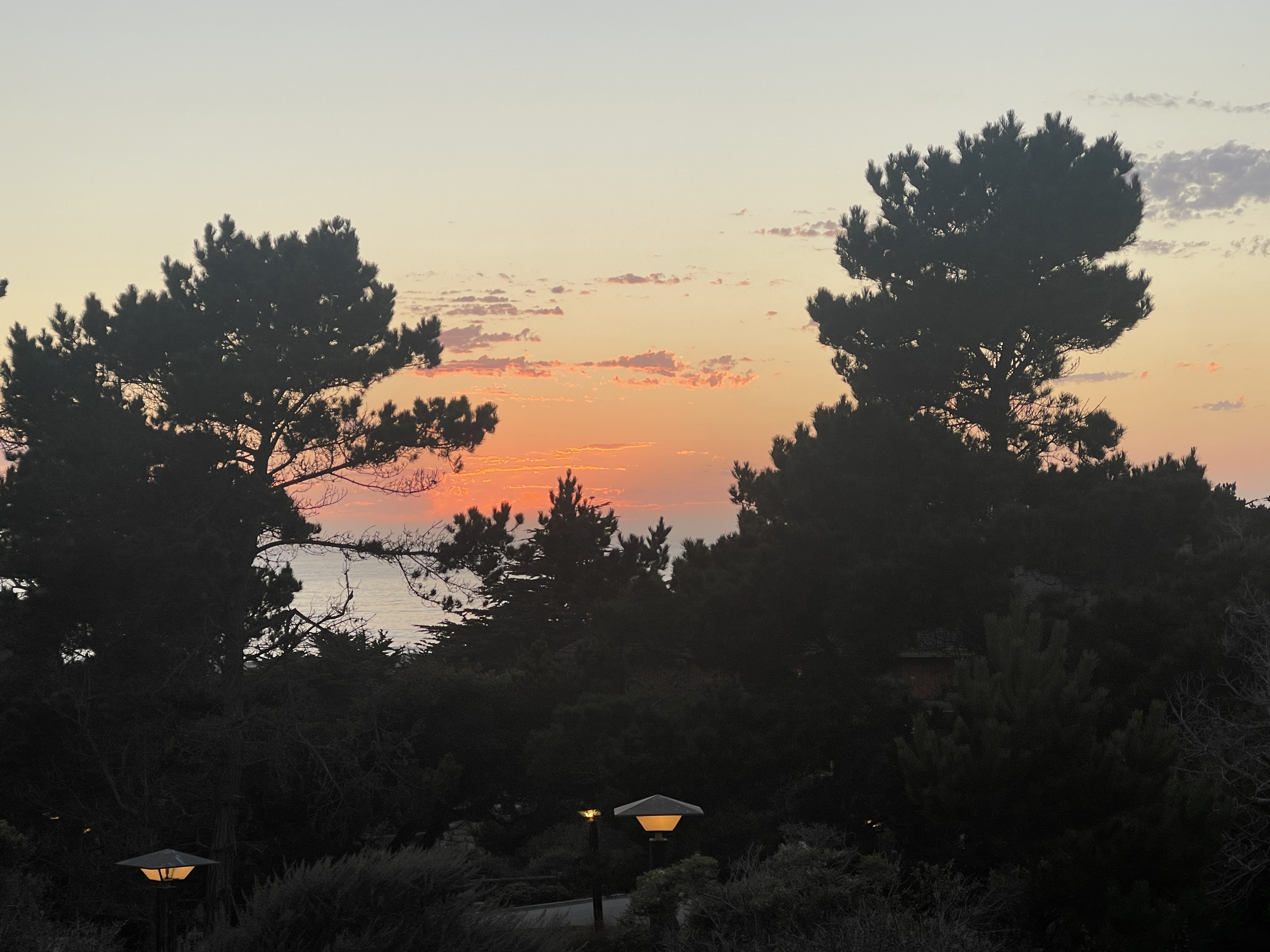 Asilomar 2024